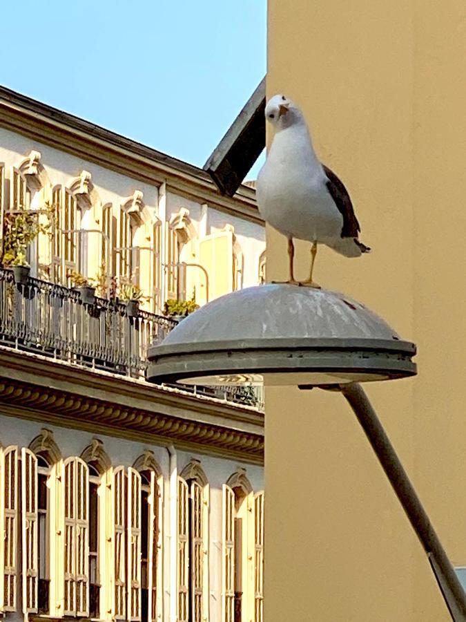 2 Bedroom - Hyper Center - Kitchen - Tramway - Balcony - Air Conditioner - Wifi Nizza Esterno foto